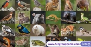 over 115 weird animal group names